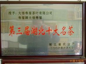 国产黄站,探索中国网络文化的新篇章